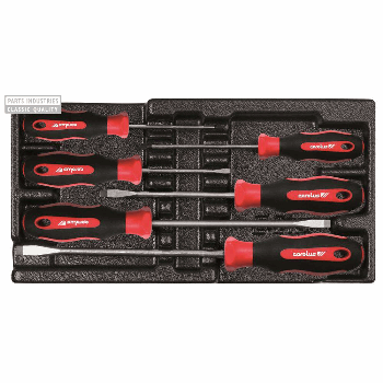 SCHROEVENDRAAIERSET FL/PH